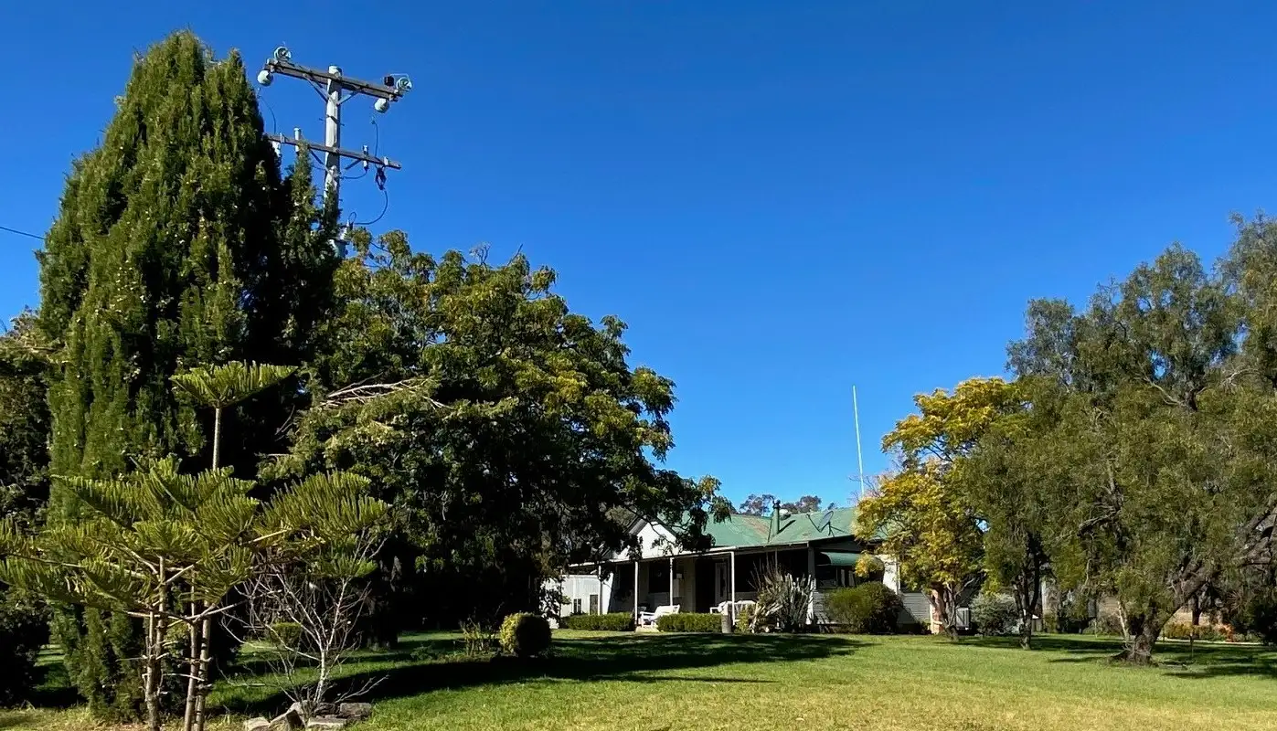 Main view of Homely rural property listing, 4570 Black Stump Way, Coolah NSW 2843