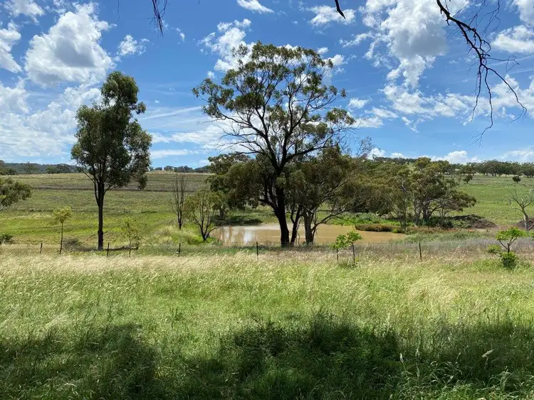 Second view of Homely rural property listing, 4570 Black Stump Way, Coolah NSW 2843