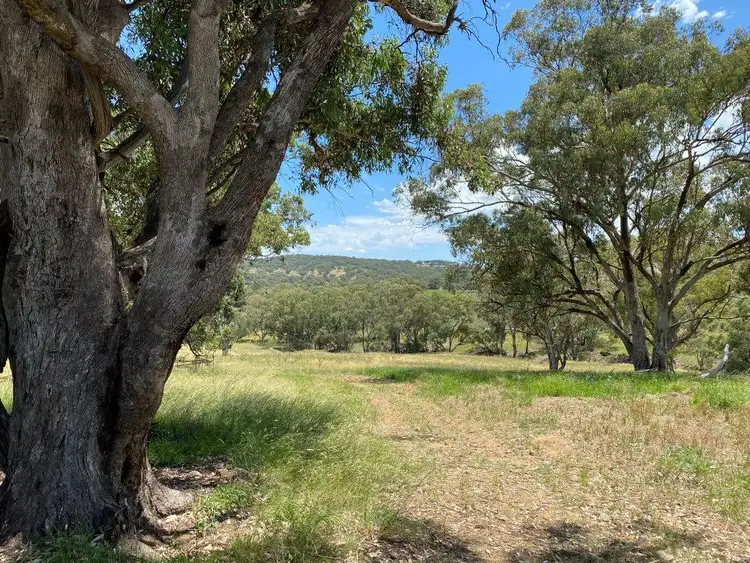Fourth view of Homely rural property listing, 4570 Black Stump Way, Coolah NSW 2843