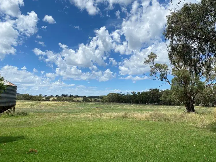 Fifth view of Homely rural property listing, 4570 Black Stump Way, Coolah NSW 2843