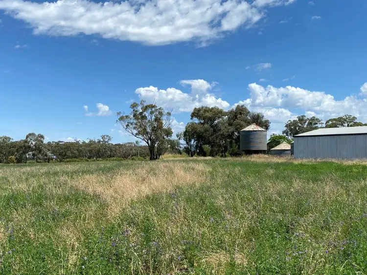 Sixth view of Homely rural property listing, 4570 Black Stump Way, Coolah NSW 2843
