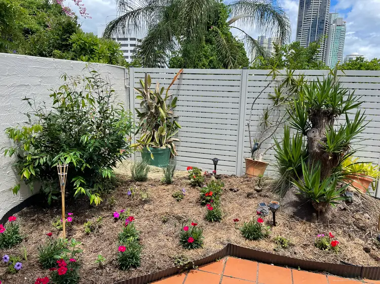 137 St Pauls Terrace, Spring Hill QLD 4000