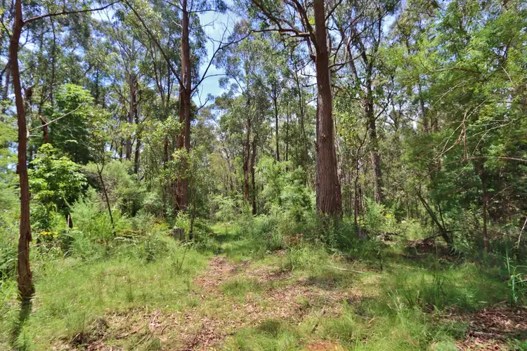 Second view of Homely land listing, LOT 2844 Mt Darragh Road, Wyndham NSW 2550