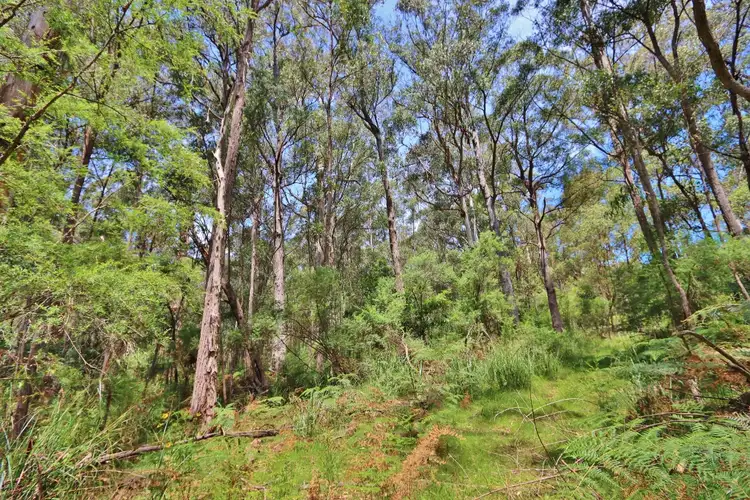 Fifth view of Homely land listing, LOT 2844 Mt Darragh Road, Wyndham NSW 2550