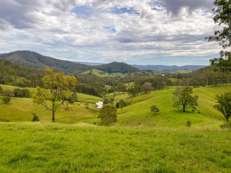 Second view of Homely rural property listing, 207 Butchers Creek Road, Wherrol Flat NSW 2429