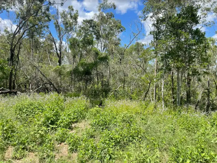 Seventh view of Homely land listing, LOT 34 River Pines Drive, Delan QLD 4671