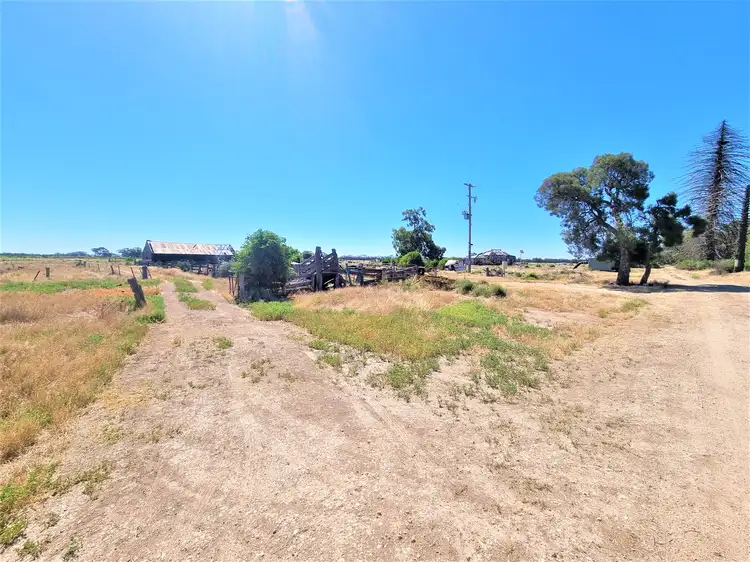 Seventh view of Homely rural property listing, 116 Maxwell Road, Milnes Bridge VIC 3579