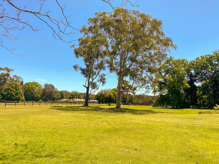 Second view of Homely rural property listing, 16 Walls Lane, Mitchells Island NSW 2430