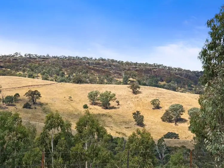 Fourth view of Homely rural property listing, 19 Godwills Road, Mansfield VIC 3722