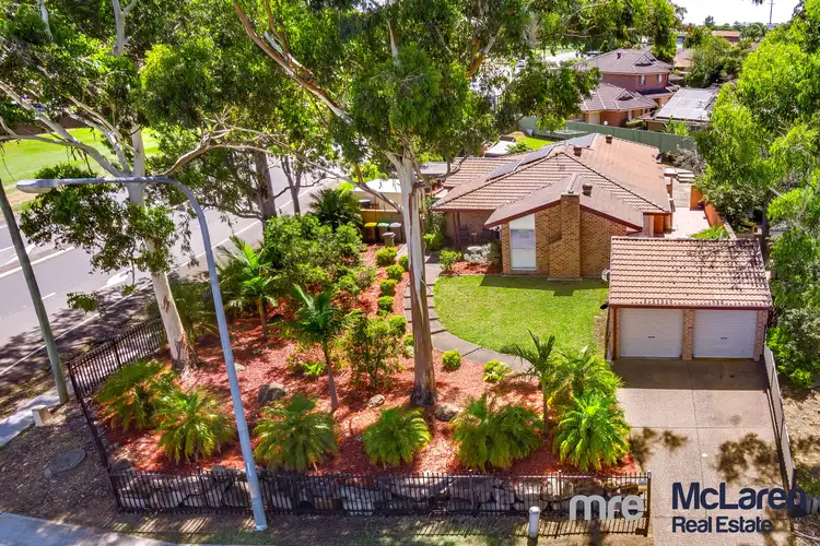 Main view of Homely house listing, 53 Ohlfsen Road, Minto NSW 2566