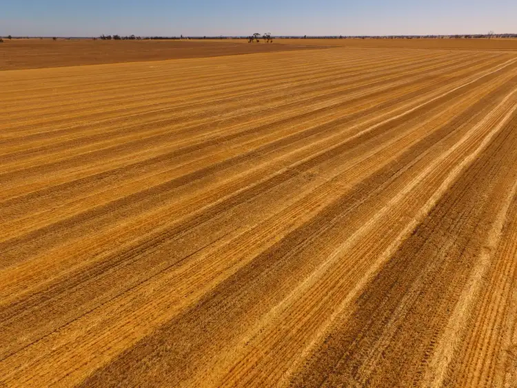 Third view of Homely rural property listing, 106 Lillimur-Yearinga Road, Lillimur VIC 3420