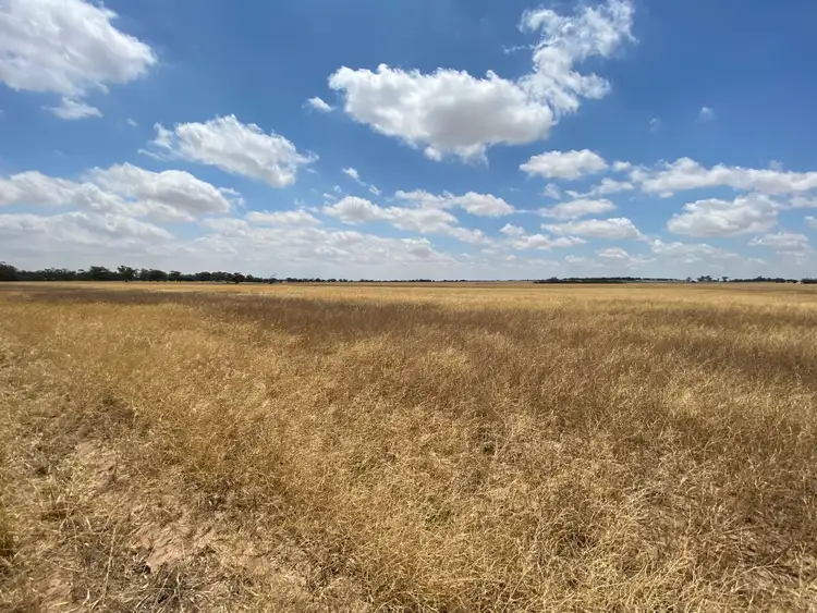 Second view of Homely land listing, C/A 60 Piggery Lane, Nhill VIC 3418