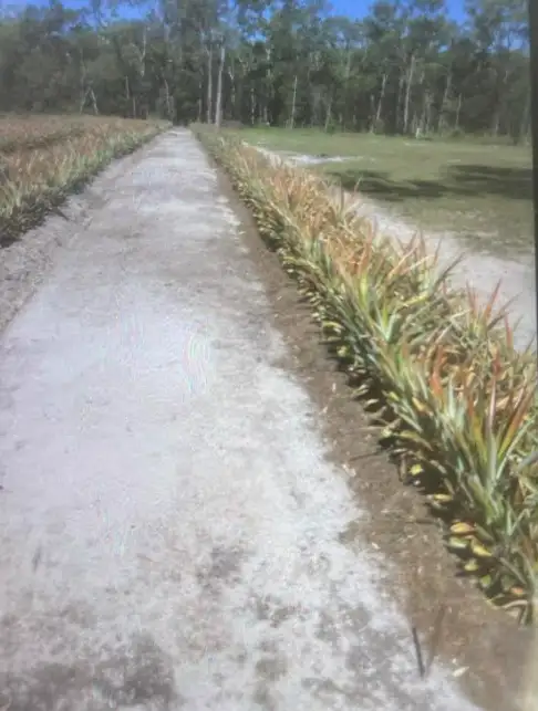 Fifth view of Homely land listing, LOT 109 Seeds Road, Mount Maria QLD 4674