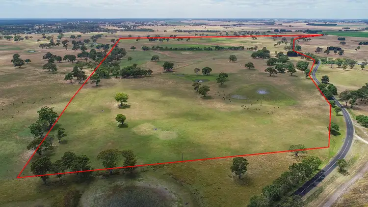 Main view of Homely rural property listing, 176 Avondale Road, Tarpeena SA 5277