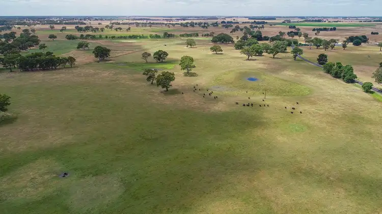 Third view of Homely rural property listing, 176 Avondale Road, Tarpeena SA 5277