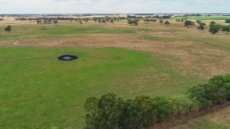 Sixth view of Homely rural property listing, 176 Avondale Road, Tarpeena SA 5277