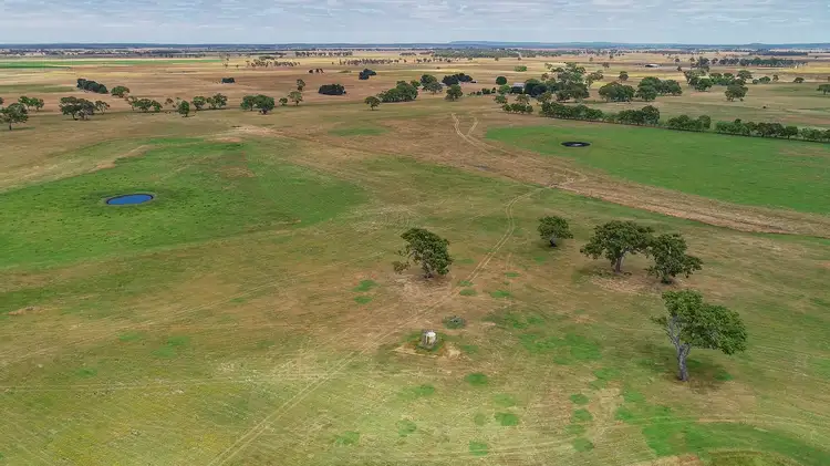 Seventh view of Homely rural property listing, 176 Avondale Road, Tarpeena SA 5277