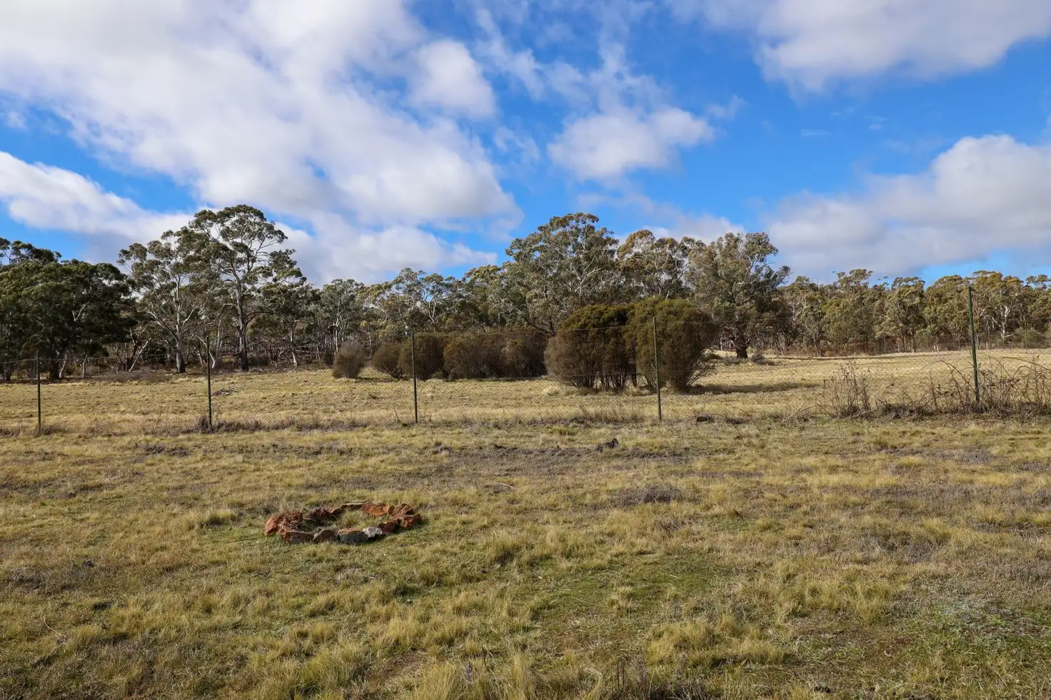 Main view of Homely rural property listing, 295 Wolgon Road, Oallen NSW 2622