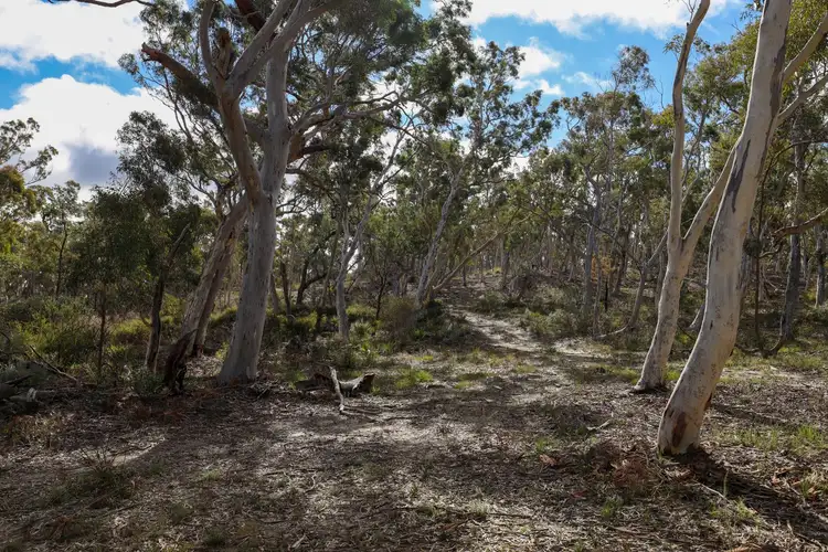 Second view of Homely rural property listing, 295 Wolgon Road, Oallen NSW 2622