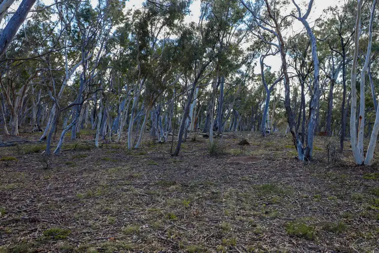 Fourth view of Homely rural property listing, 295 Wolgon Road, Oallen NSW 2622