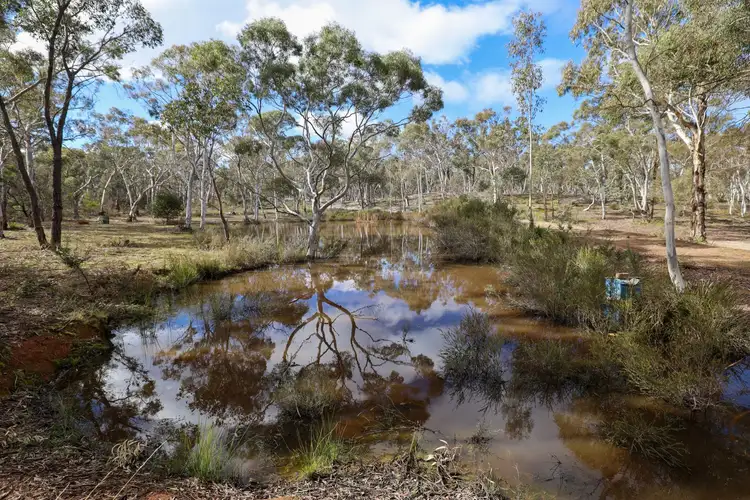 Fifth view of Homely rural property listing, 295 Wolgon Road, Oallen NSW 2622