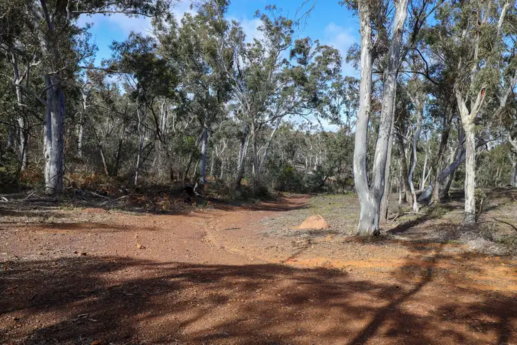Seventh view of Homely rural property listing, 295 Wolgon Road, Oallen NSW 2622