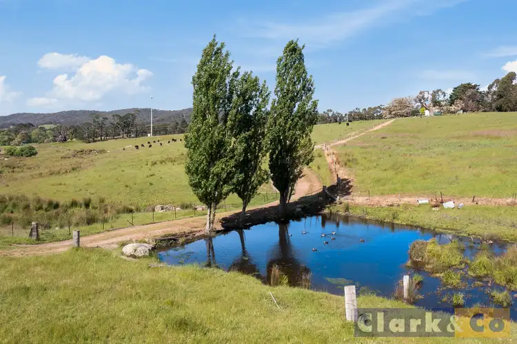 Third view of Homely rural property listing, 3386 Midland Highway, Lima South VIC 3673