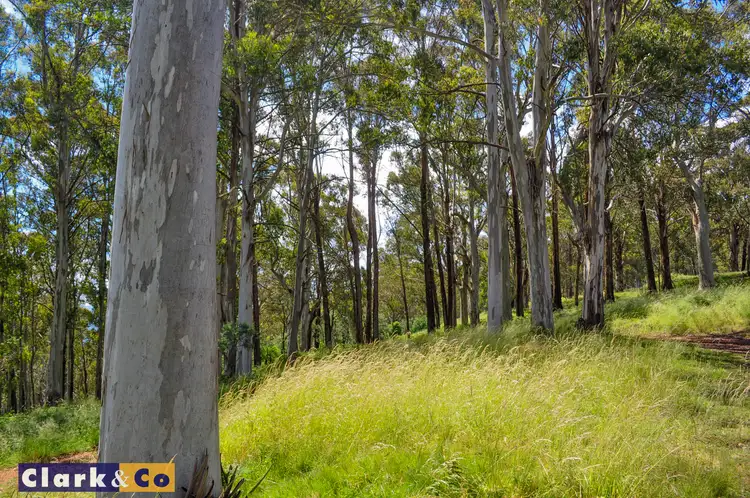 Sixth view of Homely land listing, 375 Bunstons Road, Tolmie VIC 3723