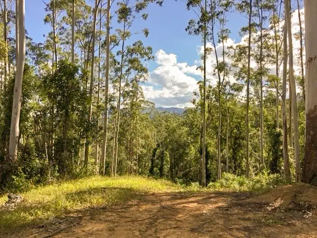 602 Hogans Road, Upper Lansdowne NSW 2430