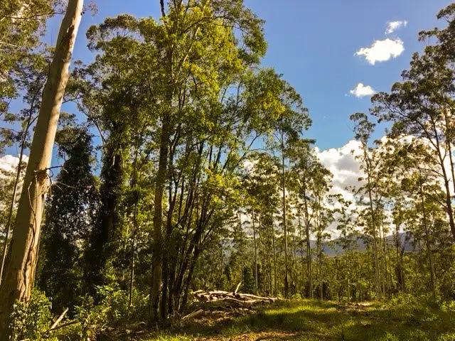 Second view of Homely land listing, 602 Hogans Road, Upper Lansdowne NSW 2430