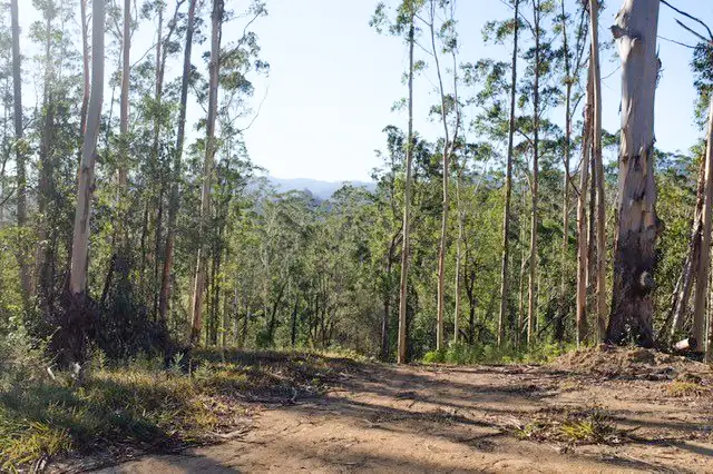 Third view of Homely land listing, 602 Hogans Road, Upper Lansdowne NSW 2430