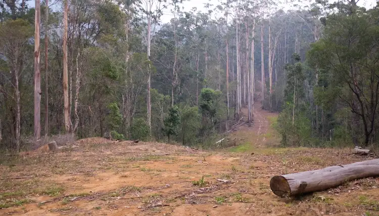 Fourth view of Homely land listing, 602 Hogans Road, Upper Lansdowne NSW 2430