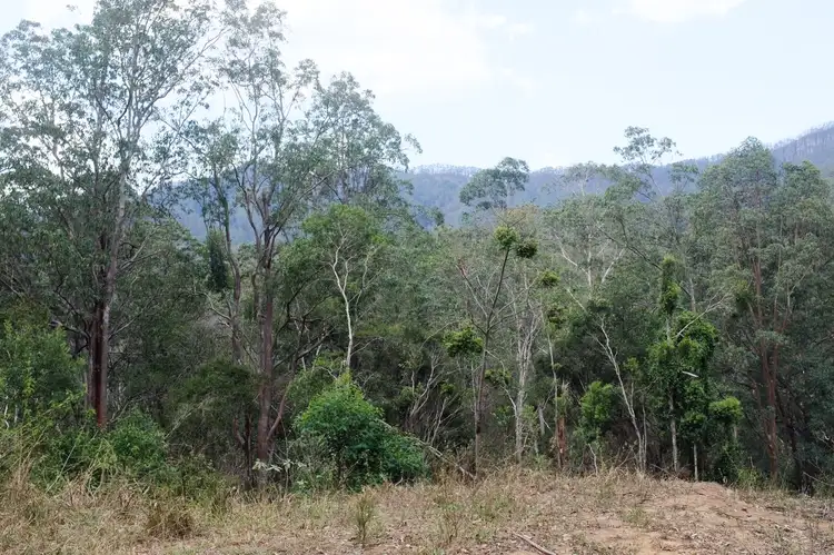 Fifth view of Homely land listing, 602 Hogans Road, Upper Lansdowne NSW 2430