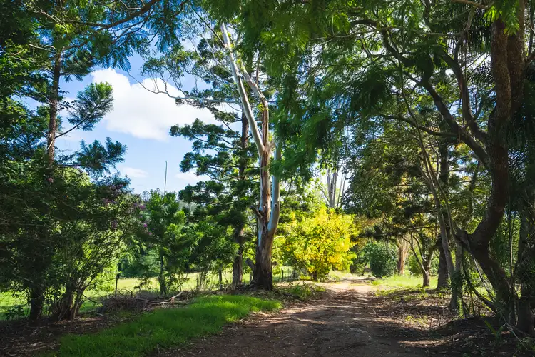 Fourth view of Homely rural property listing, 59 Ironstone Creek Road, Tuchekoi QLD 4570