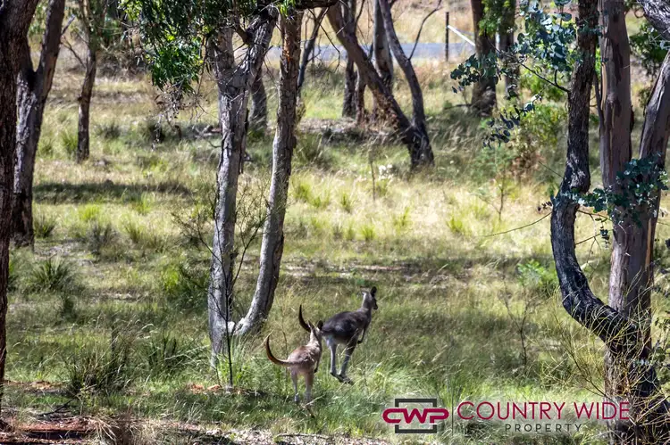Fourth view of Homely land listing, LOT 25 Marshall Way, Emmaville NSW 2371