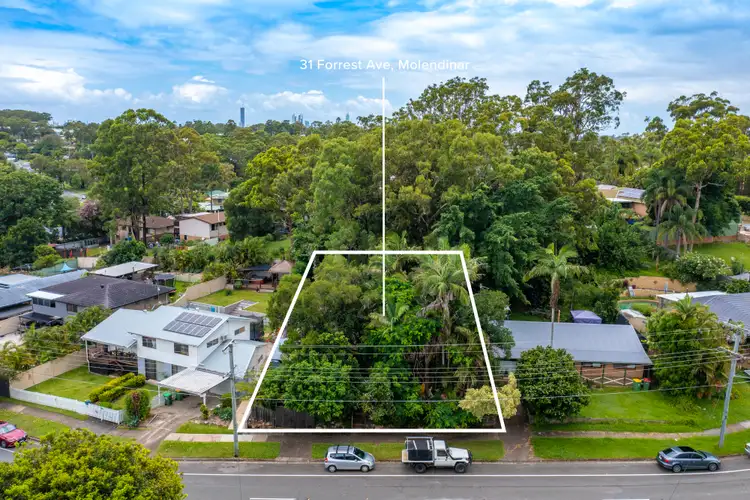 Sixth view of Homely house listing, 31 Forrest Avenue, Molendinar QLD 4214