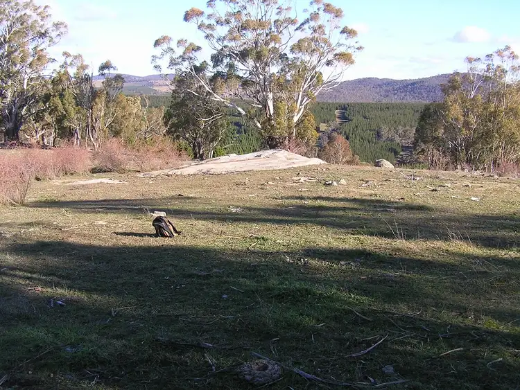 LOT 135 Peak View Road, Peak View NSW 2630