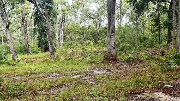Fourth view of Homely land listing, 145 Greenslopes Avenue, Tomerong NSW 2540