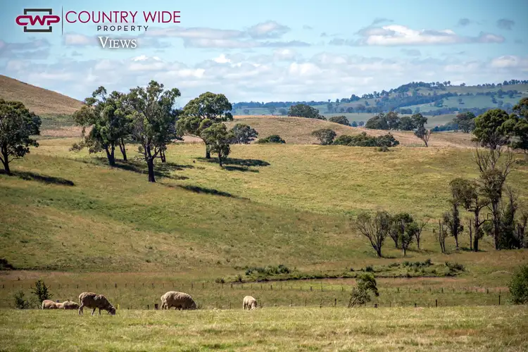 Fourth view of Homely land listing, 40 Elm Street, Guyra NSW 2365