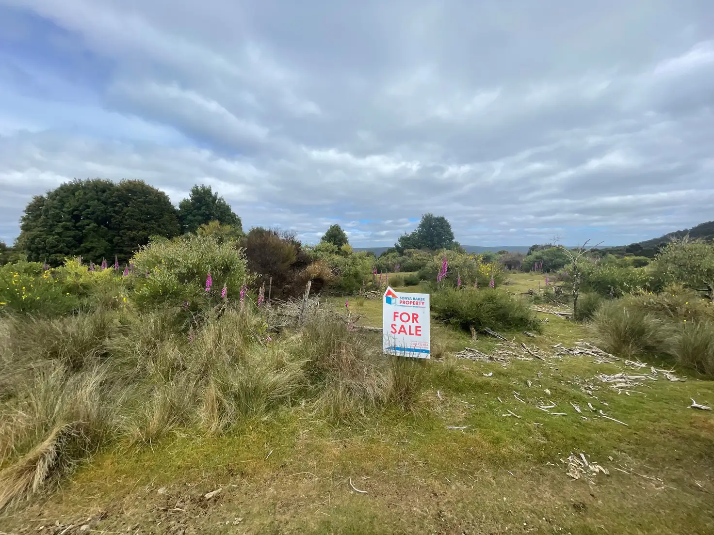 Main view of Homely land listing, PID 6998561 66 Walker Street, Waratah TAS 7321