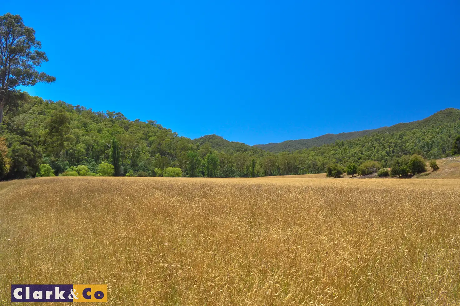 Main view of Homely land listing, LOT 3&3A Mansfield Woods Point Road, Kevington VIC 3723