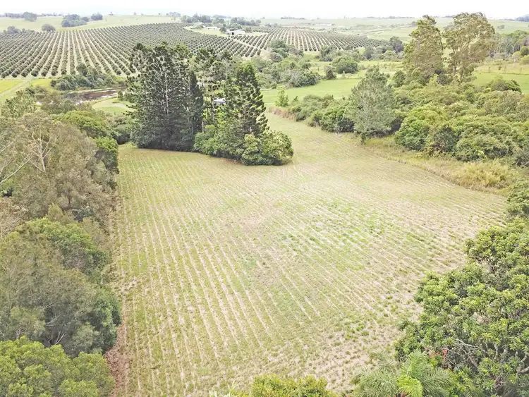 Third view of Homely rural property listing, 73 Anderson Road, Peeramon QLD 4885