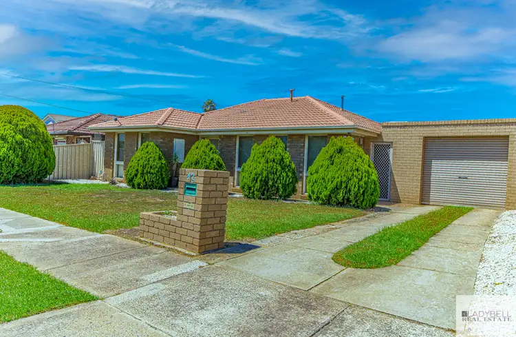 Second view of Homely house listing, 42 Concord Circuit, Albanvale VIC 3021