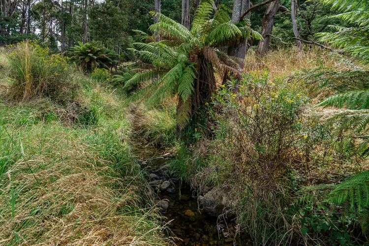 Seventh view of Homely land listing, 110 Cripps Road, Woodbridge TAS 7162