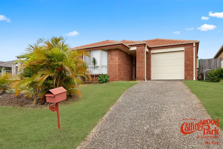 91 Collins Street, Collingwood Park QLD 4301
