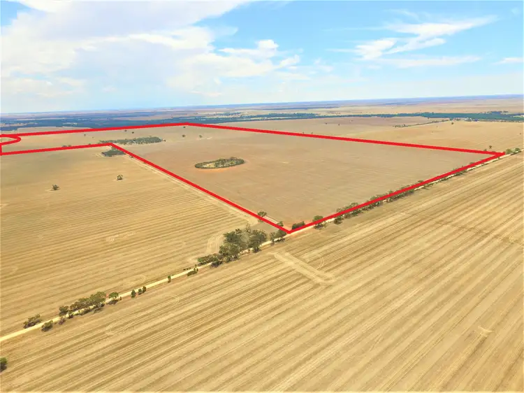 Main view of Homely rural property listing, 123 Fenton Lane, Budgerum East VIC 3579