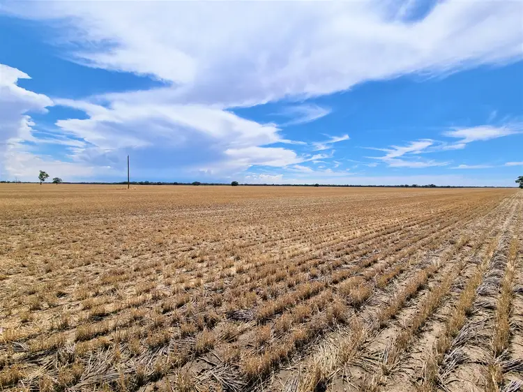 Third view of Homely rural property listing, 123 Fenton Lane, Budgerum East VIC 3579