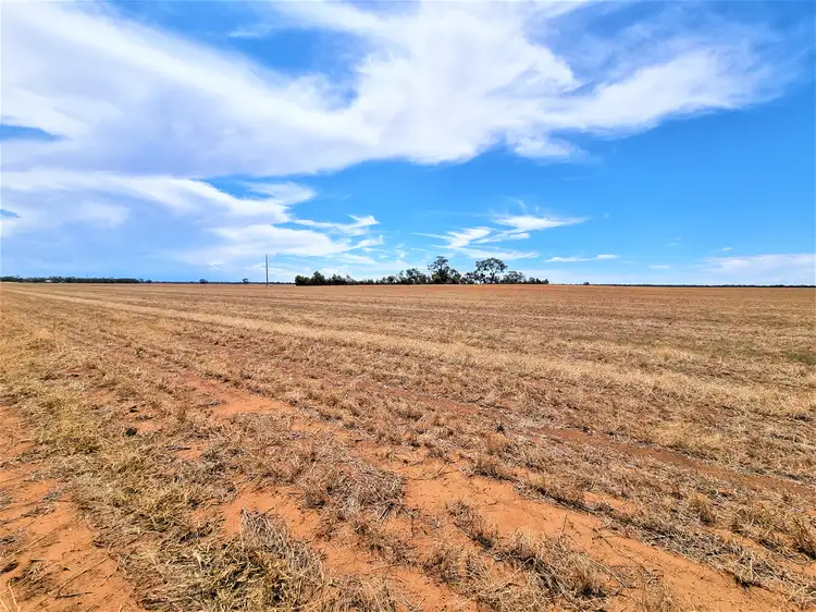 Sixth view of Homely rural property listing, 123 Fenton Lane, Budgerum East VIC 3579
