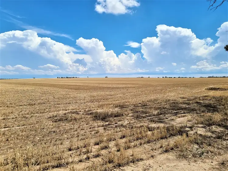 Seventh view of Homely rural property listing, 123 Fenton Lane, Budgerum East VIC 3579