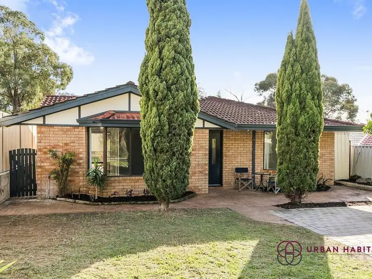 Fifth view of Homely house listing, 38 Cimbor Way, Parmelia WA 6167